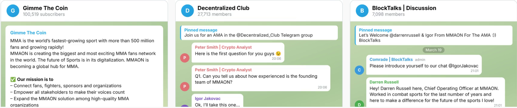AMA - MMAON Token Sale Case Study by TokenMinds