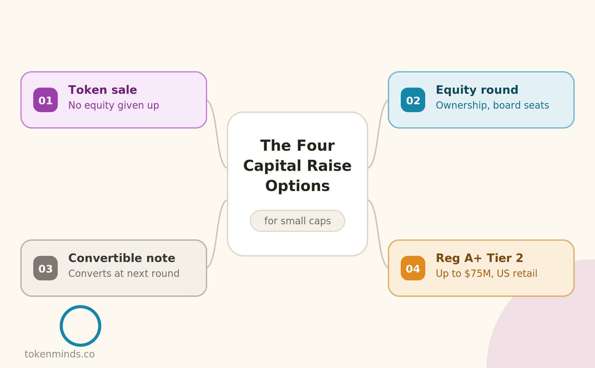 The Four Capital Raise Options.png