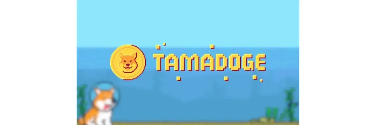 RPXbZXas5HlKDhoo7MXN1rhCC80